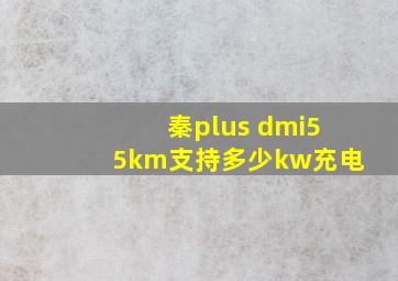 秦plus dmi55km支持多少kw充电